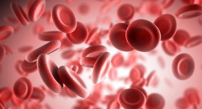 A anemia é um sinal de helmintos no corpo