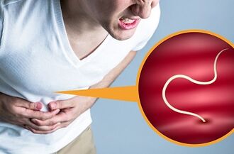 tipos de parasitas no corpo humano