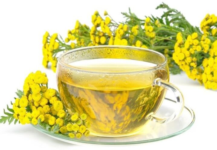 Decocção Tansy para parasitas no corpo