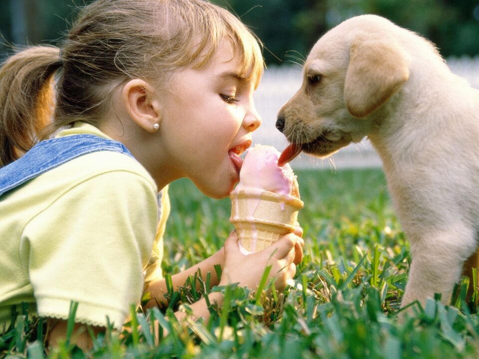 menina e cachorro comem sorvete e ficam infectados com parasitas