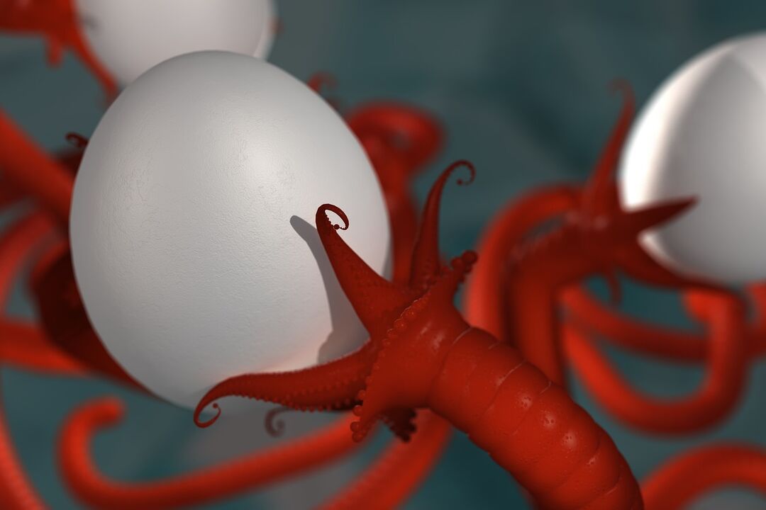 verme parasita de humanos